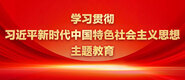 韩国搞鸡巴学习贯彻习近平新时代中国特色社会主义思想主题教育_fororder_ad-371X160(2)